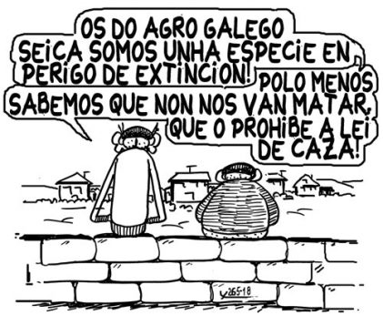 Viñeta do 27 de maio de 2018