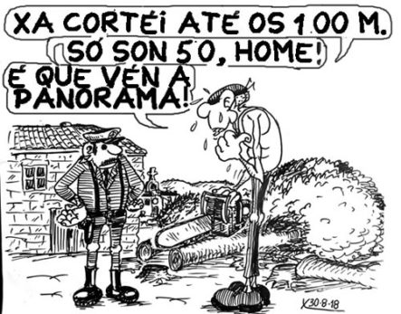Viñeta do 30 de agosto de 2018