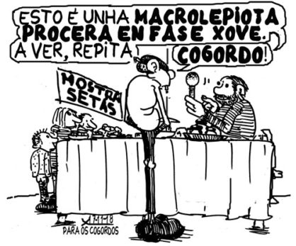 Viñeta do 17 de novembro de 2018