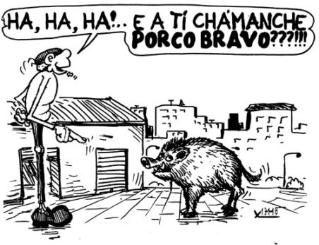 Viñeta do 13 de xaneiro de 2019