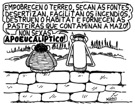 Viñeta do 26 de xullo de 2019
