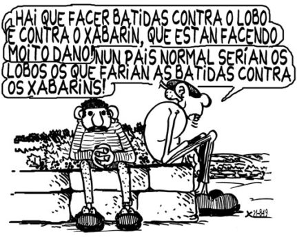 Viñeta do 21 de agosto de 2019