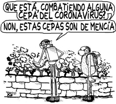 Viñeta do 6 de maio de 2020