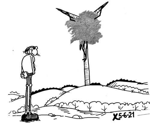 Viñeta de O Carrabouxo do 5 de xuño de 2021