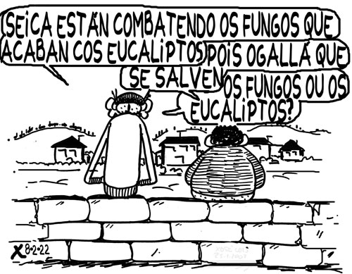 Viñeta de O Carrabouxo do 8 de febreiro de 2022