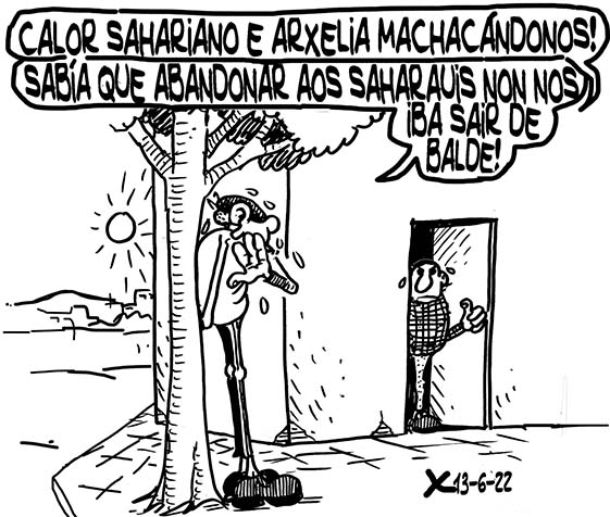 Viñeta de O Carrabouxo do 13 de xuño de 2022