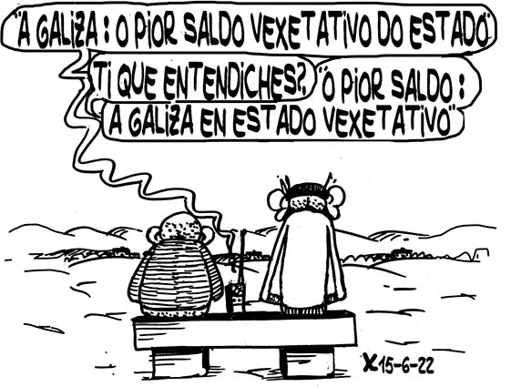 Viñeta de O Carrabouxo do 15 de xuño de 2022