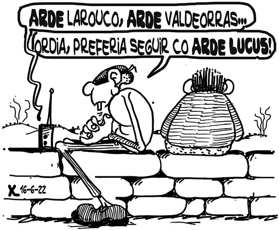 Viñeta de O Carrabouxo do 16 de xuño de 2022