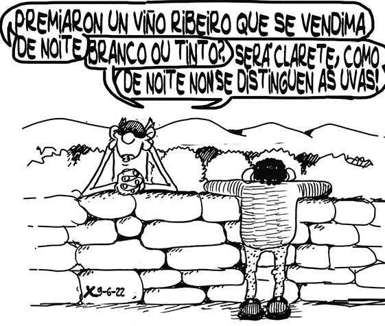 Viñeta de O Carrabouxo do 9 de xuño de 2022