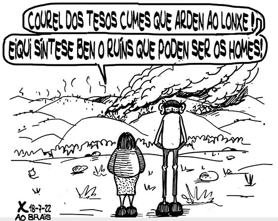 Viñeta de O Carrabouxo do 18 de xullo de 2022
