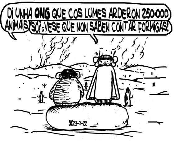 Viñeta de O Carrabouxo do 23 de xullo de 2022