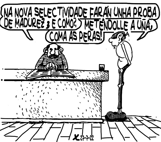 Viñeta de O Carrabouxo do 27 de xullo de 2022