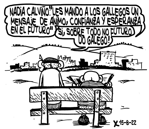 Viñeta de O Carrabouxo do 15 de xullo de 2022