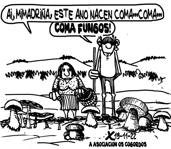 Viñeta de O Carrabouxo do 19 de novembro de 2022