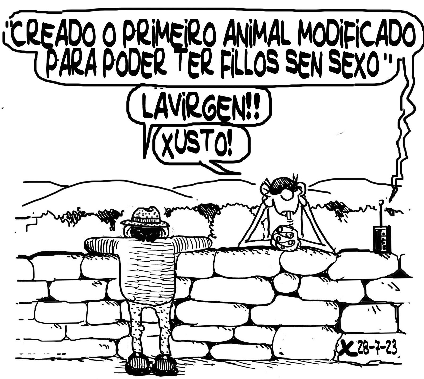 Viñeta de O Carrabouxo do 28 de xullo de 2023