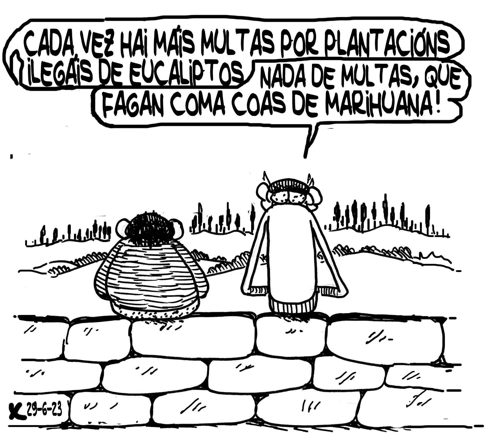 Viñeta de O Carrabouxo do 29 de xuño de 2023