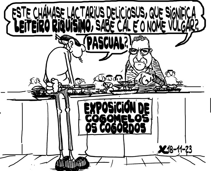 Viñeta de O Carrabouxo do 20 de novembro de 2023
