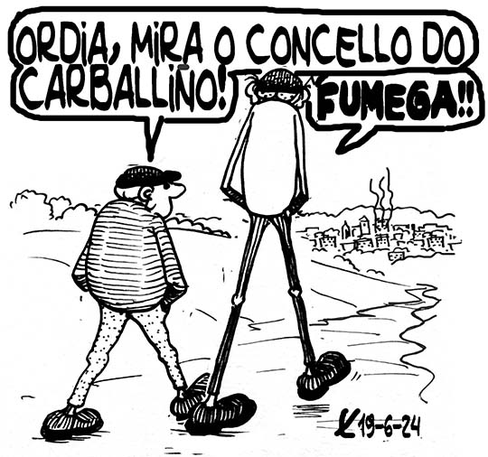 Viñeta de O Carrabouxo do 19 de xuño de 2024