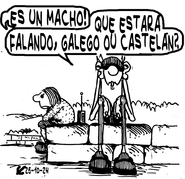 Viñeta de O Carrabouxo do 25 de outubro de 2024