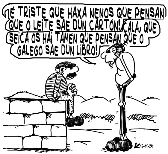 Viñeta de O Carrabouxo do 15 de novembro de 2024