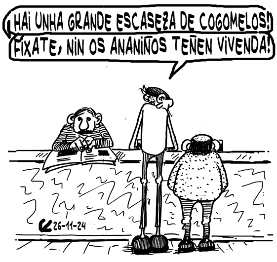 Viñeta de O Carrabouxo do 26 de novembro de 2024